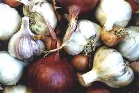 Garlic & Red Onions